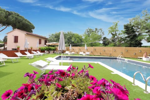 Spring, Garden, Garden view, Pool view, Swimming pool, sunbed