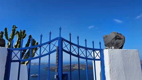 Cactus cave house on the caldera House in Thera