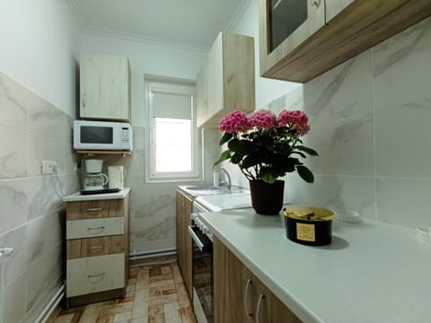 Mim's Home Apartment in Serbia