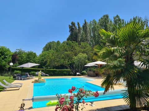Garden, Swimming pool, sunbed