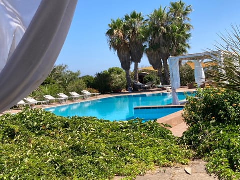Spring, Day, Garden, Garden view, Pool view, Swimming pool, sunbed
