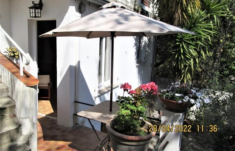Patio, Facade/entrance