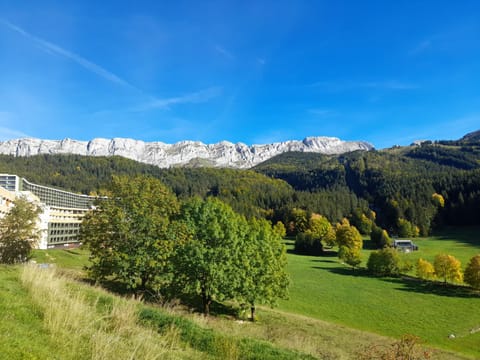 Patio, Balcony/Terrace