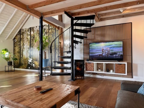 TV and multimedia, View (from property/room), View (from property/room), Living room, Seating area, Evening entertainment