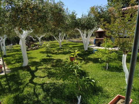 BBQ facilities, Garden