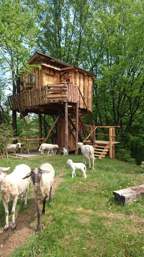 Property building, Spring, Natural landscape, Animals