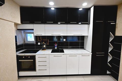 Tina Apartment in Zlatibor District, Serbia