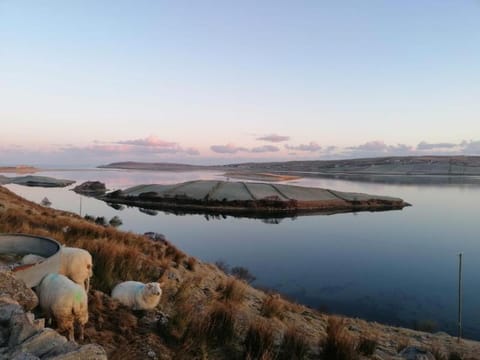 Natural landscape
