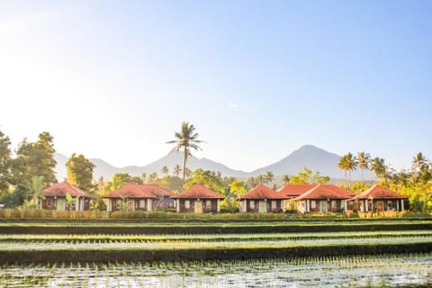 Property building, Neighbourhood, Natural landscape