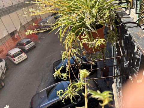 STELLA MARINA Apartment in La Spezia