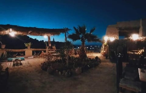 Night, Garden