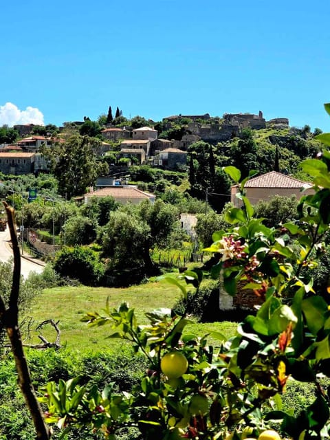 Natural landscape