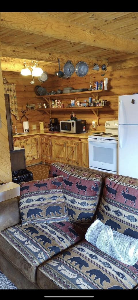 Carries Cabin Cabin in Iowa