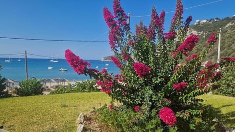 SAN GEORGE COVE Apartment hotel in Corfu, Greece