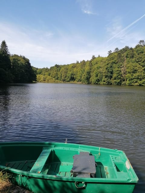 Lake view
