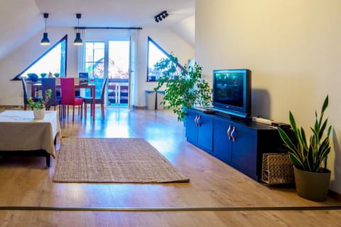 Communal lounge/ TV room, TV and multimedia, Living room