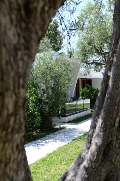Property building, Natural landscape, Garden