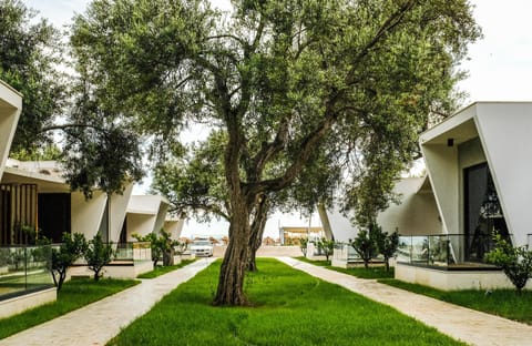 Property building, Natural landscape, Garden, Garden view