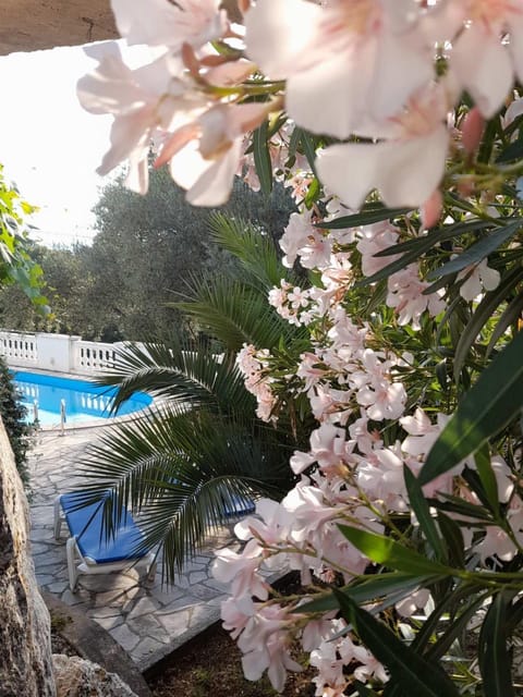 Villa Dedin Villa in Ulcinj Municipality