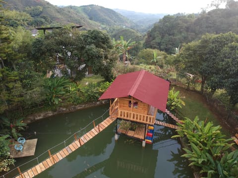 Bird's eye view, Pool view, Swimming pool