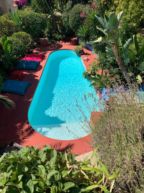 Spring, Day, Garden, Garden view, Pool view, Swimming pool