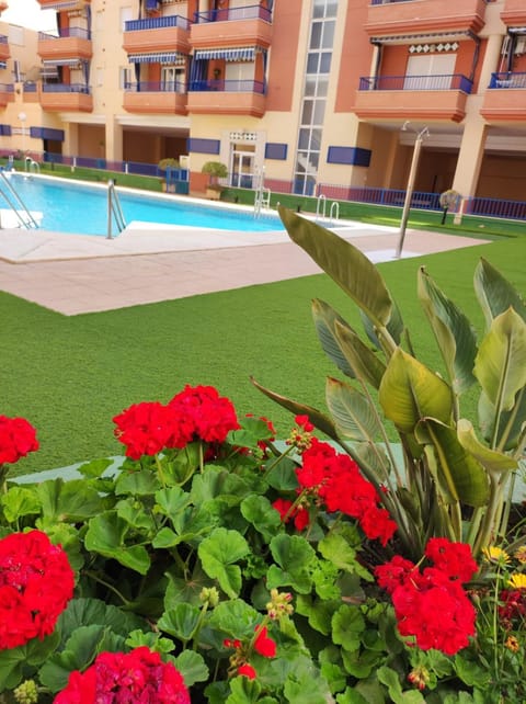 Property building, Swimming pool