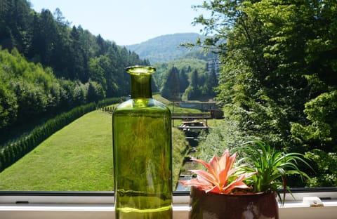 Natural landscape, Garden, Garden view, Mountain view, River view