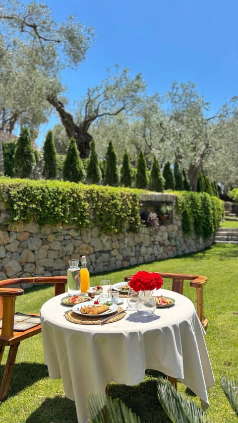 OLIVE QUEEN Rustic Estate Bed and Breakfast in Montenegro