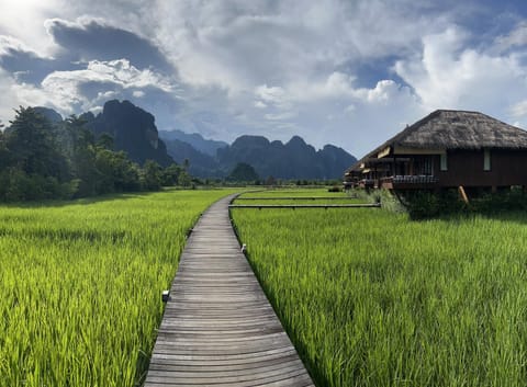 Property building, Natural landscape