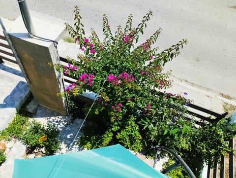 Ι Μυκονιάτη Apartment in Halkidiki