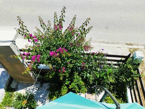 Ι Μυκονιάτη Apartment in Halkidiki