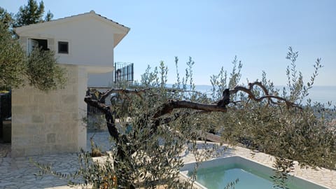 Property building, Pool view