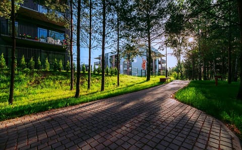 Activities, Activities