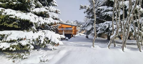 Skiing, View (from property/room), Balcony/Terrace