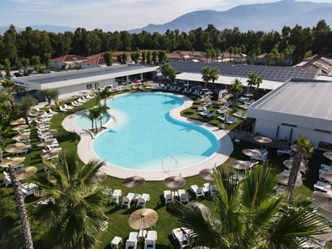 Day, Garden, Swimming pool, Swimming pool, sunbed