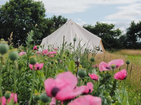 The Oaks Tent Pitches with no accommodation supplied and you must bring your own tent Campground/ 
RV Resort in Breckland District