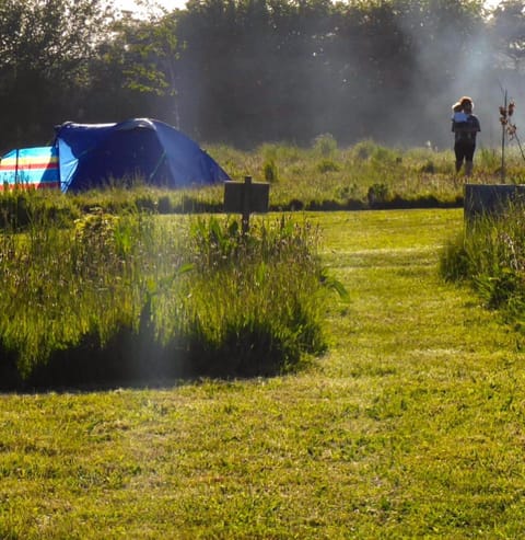 The Oaks Tent Pitches with no accommodation supplied and you must bring your own tent Campground/ 
RV Resort in Breckland District