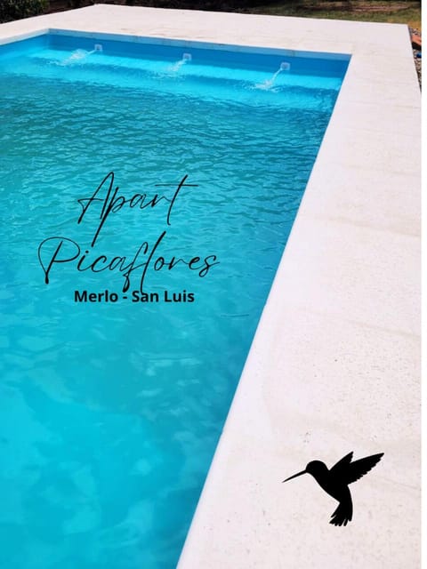 Day, Pool view, Swimming pool