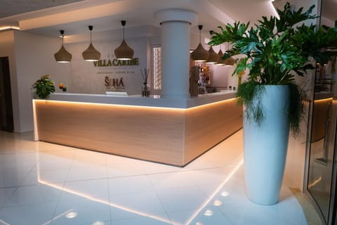 Staff, Lobby or reception, Lobby or reception, Swimming pool, group of guests