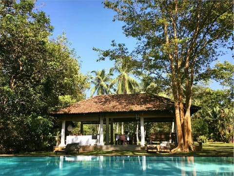 Natural landscape, On site, Garden view, Pool view, Swimming pool, sunbed