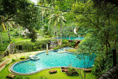 Spring, Day, Natural landscape, Garden, Aqua park, Garden view, Pool view, Swimming pool, Swimming pool, sunbed
