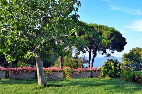 Natural landscape, Garden, View (from property/room), View (from property/room), Garden view, Garden view, Sea view, Sea view