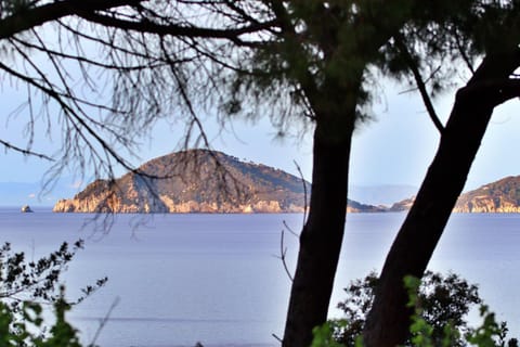 Natural landscape, Garden, View (from property/room), View (from property/room), Sea view, Sea view, Sunset