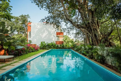 Pool view, Swimming pool