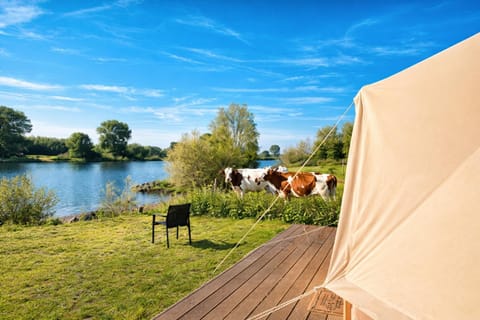 Bell Tent Luxury tent in North Brabant (province)