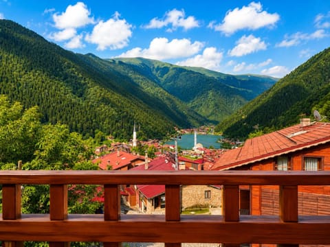 Nearby landmark, Spring, Day, Natural landscape, Lake view, Mountain view
