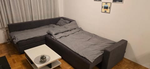 Apartment Lazarus Banja Luka Apartment in Federation of Bosnia and Herzegovina