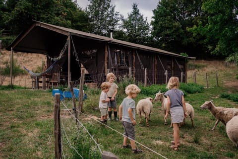 Animals, children