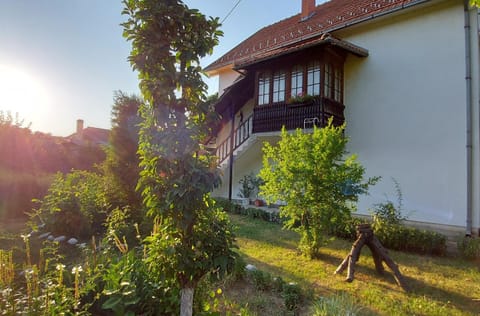 Property building, Garden, Sunset