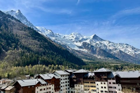 Apartment Of 55 M With Balcony View Mont Blanc Apartment in Chamonix